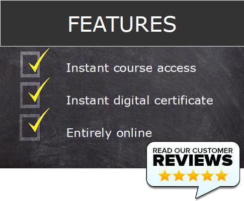 course bundle reviews 